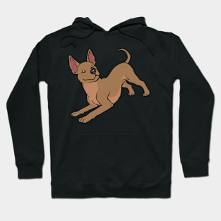 Xoloitzcuintle (Doggust 2022) Hoodie